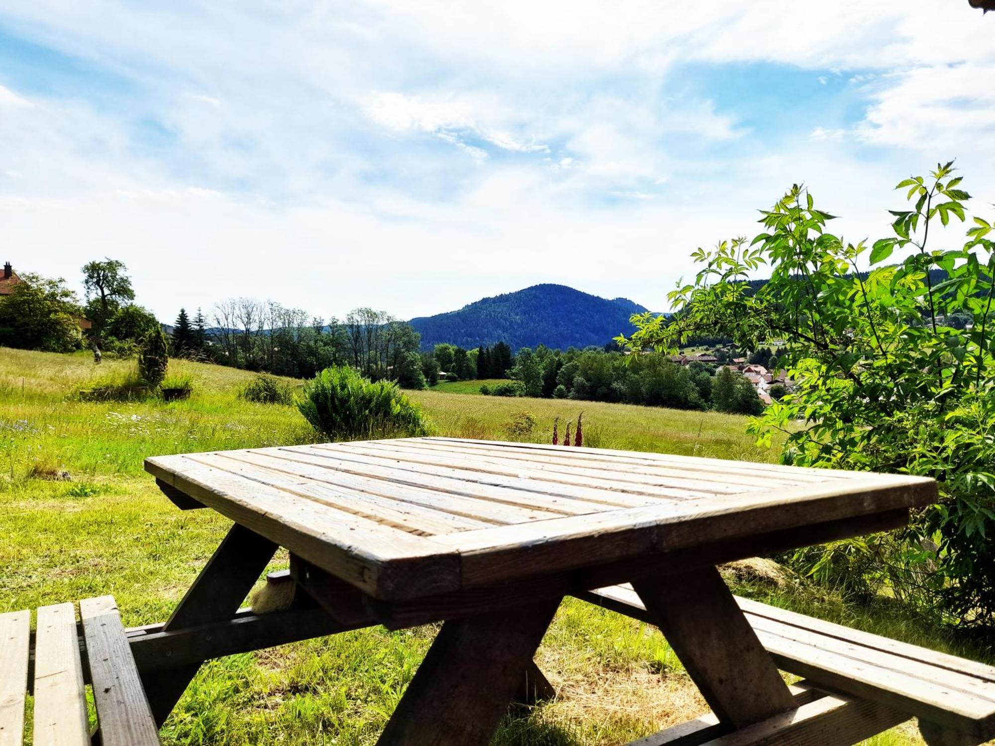 Chalet De Xonrupt / Vue Splendide Sur Les Montagnes Buitenkant foto